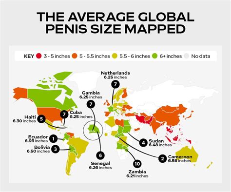 average malaysian penis size|Southeast Asian Dudes Among Those With Shortest。